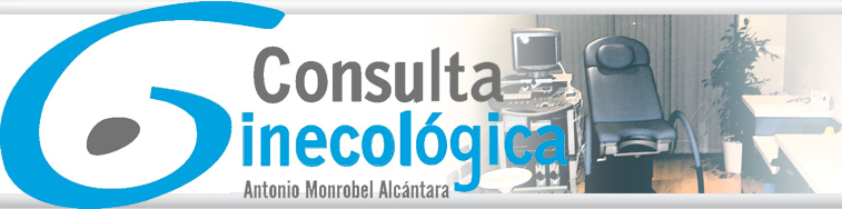Consulta Ginecol�ga Antonio Monrobel Alc�ntara